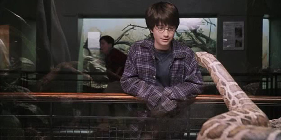 Harry Potter ve Felsefe Taşı'nda, Harry'nin hayvanat bahçesinden 