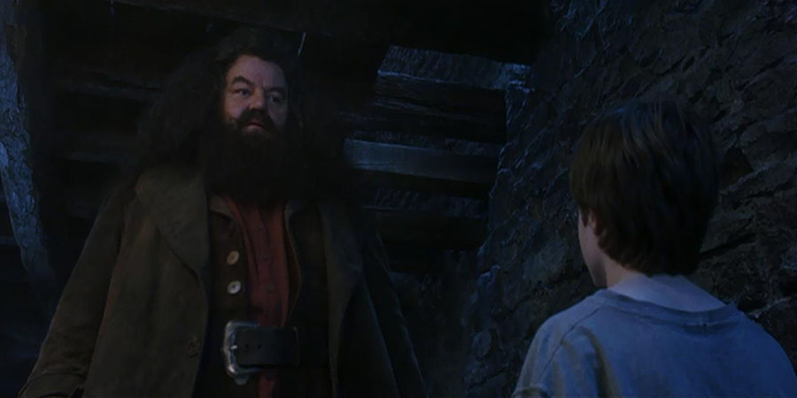 Hagrid Harry Potter'la ilk karşılaştığında ona ne verdi?