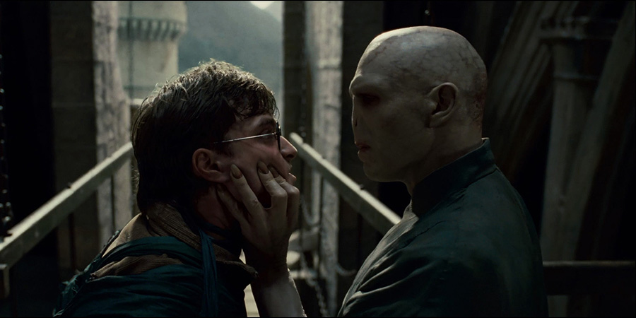 Son büyük savaşta Harry Potter hangi büyüyle Voldemort ile savaşmıştır?