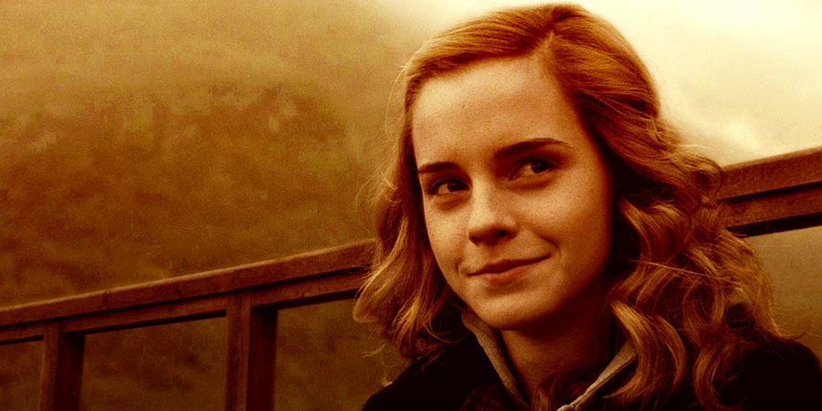 Hermione'nin kurucusu ve başkanı olduğu E.R.İ.T'in açılımı nedir?