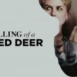 Killing of a Sacred Deer