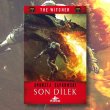 Witcher: Son Dilek